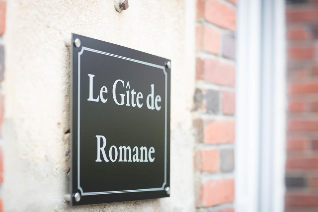 Вілла Le Gite De Romane Domaine Du Vendangeoir Vinay  Екстер'єр фото